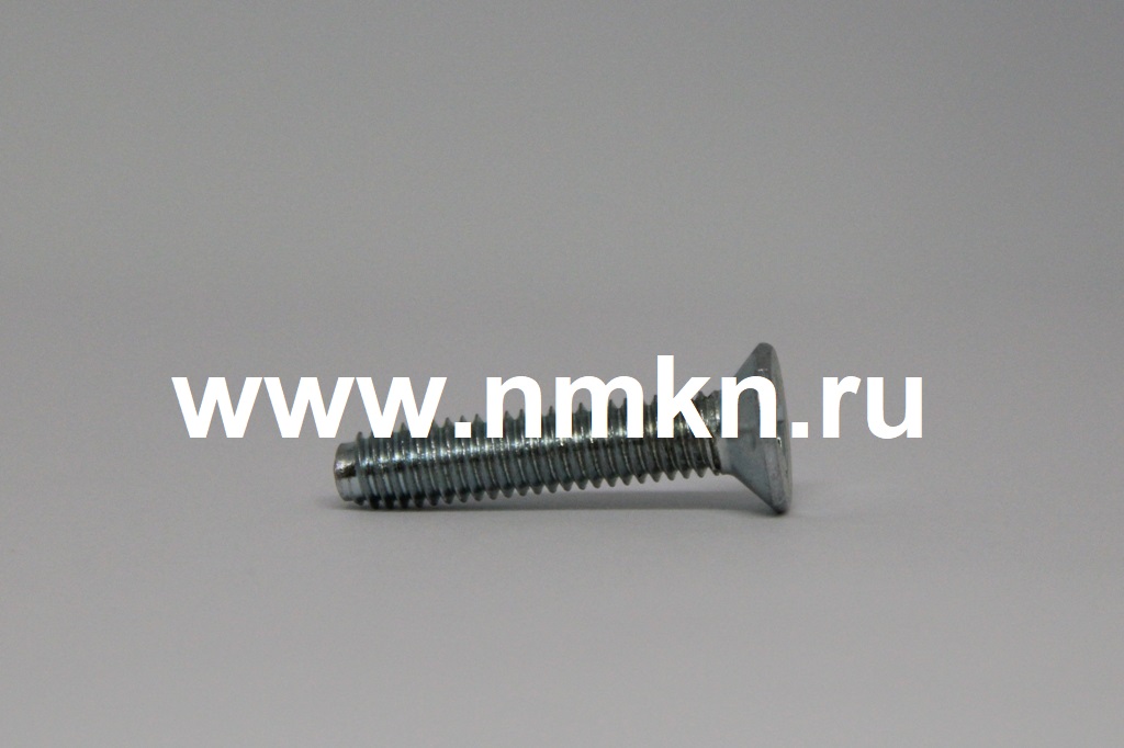 винт резьбовыдавливающий е30414 п29 (6х30 потай) в интернет-магазине НМК